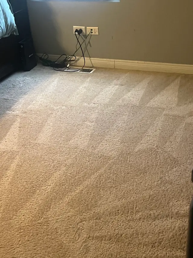 Stanley Steemer — customer photo 12