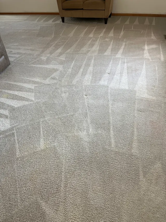Stanley Steemer — customer photo 2