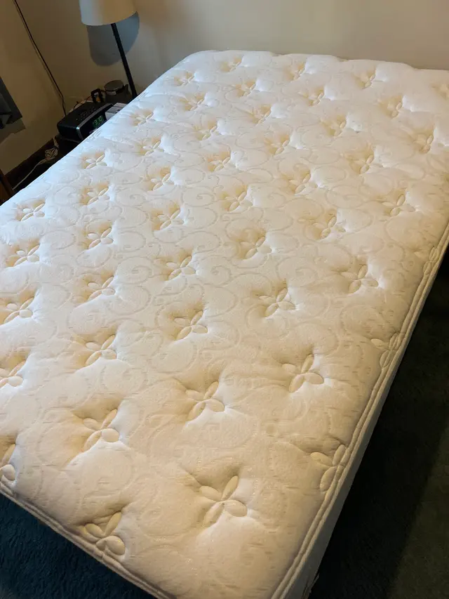 Customer photo from Cat's review