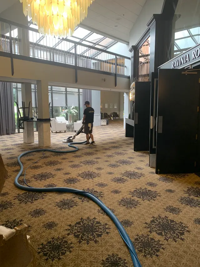 Bulldog Carpet Cleaning — photo from the business 12