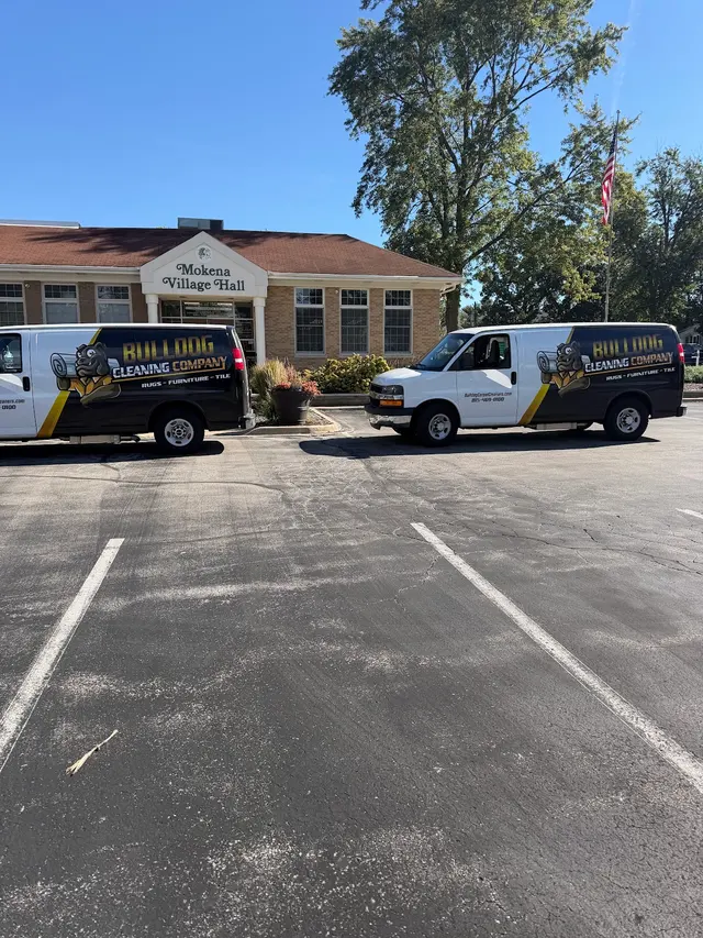 Bulldog Carpet Cleaning — photo from the business 2