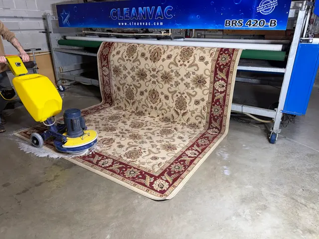 Bulldog Carpet Cleaning — photo from the business 5