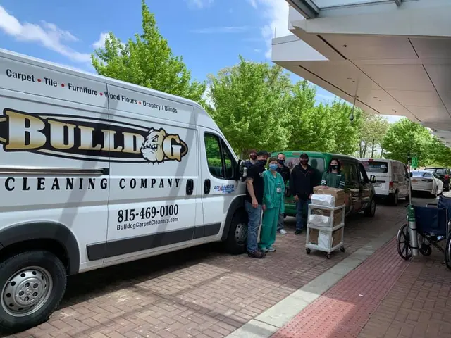 Bulldog Carpet Cleaning — photo from the business 10