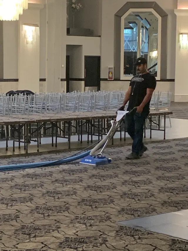 Bulldog Carpet Cleaning — photo from the business 4