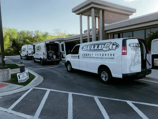 Bulldog Carpet Cleaning — photo from the business 3
