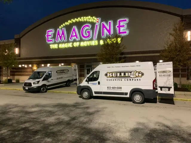 Bulldog Carpet Cleaning — photo from the business 6