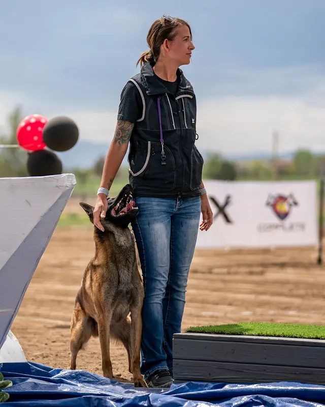 Happy Dog Lodge — photo from the business 8