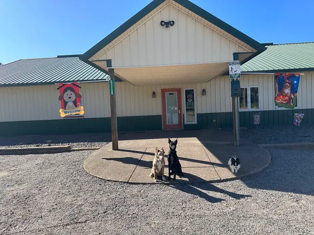 Happy Dog Lodge — photo from the business 6