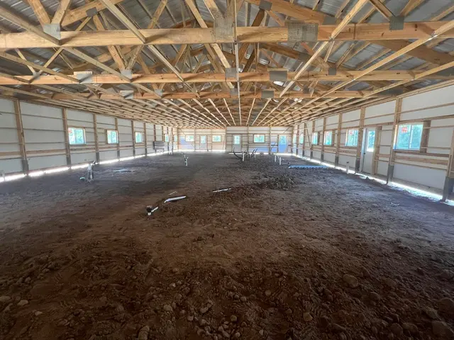 Country Pup Kennel — photo from the business 9
