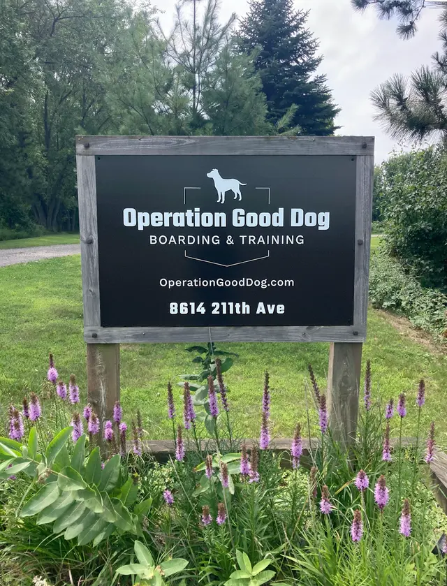 Operation Good Dog — photo from the business 11
