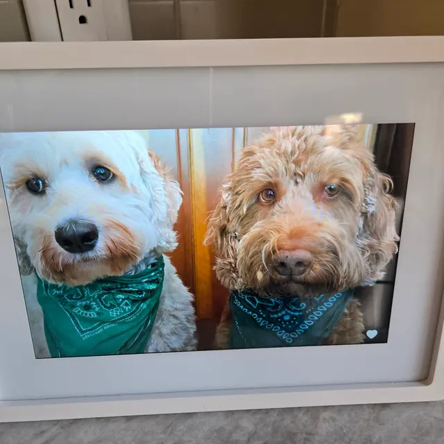 Customer photo from Katy's review