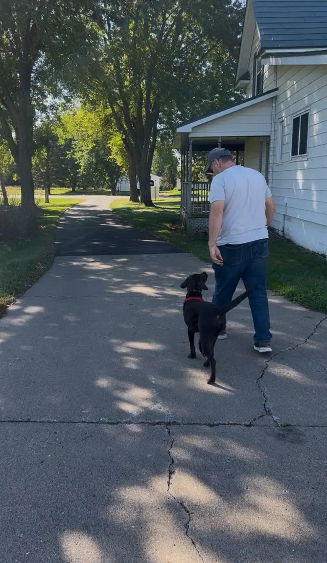 Customer photo of work by Stevenson Gun Dog and Obedience, from Lexi Drehmel's review