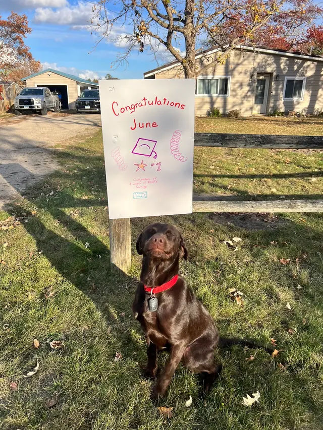 Customer photo from Lexi's review