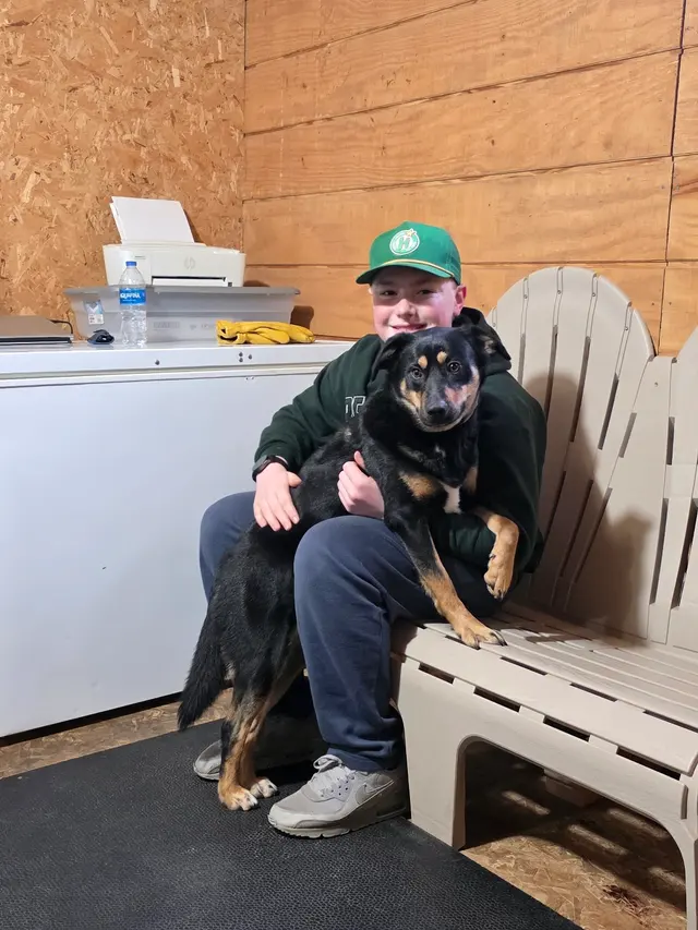 Stevenson Gun Dog and Obedience — customer photo 10
