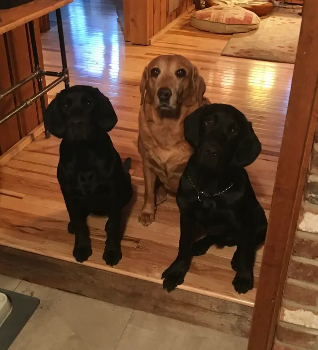 AQK9 — customer photo 9
