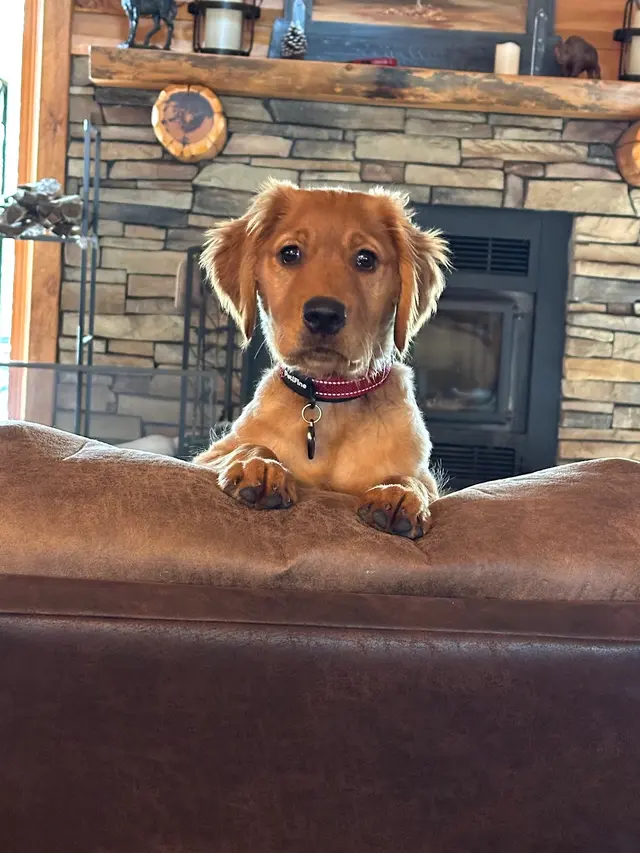 AQK9 — customer photo 5