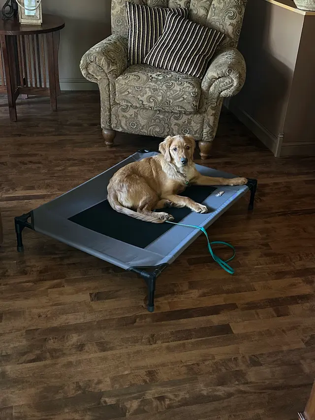 AQK9 — customer photo 11
