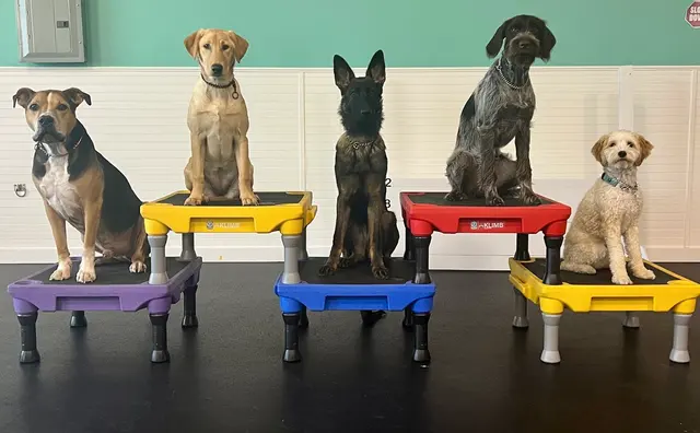 AQK9 — customer photo 2
