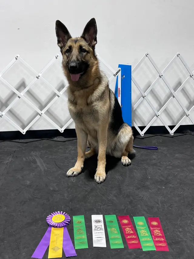 AQK9 — customer photo 4