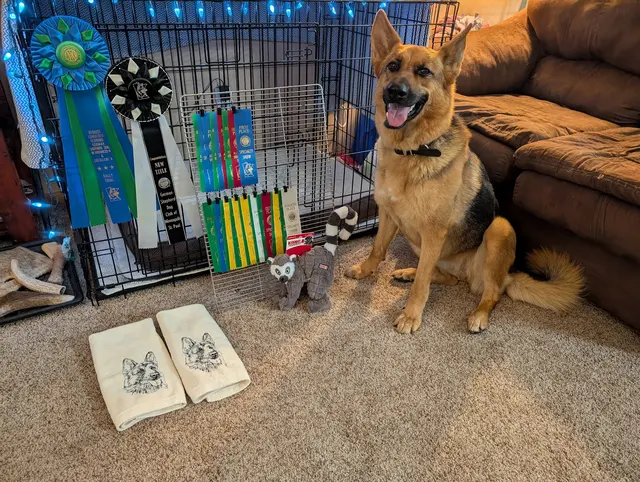 Total Recall School for Dogs — customer photo 11