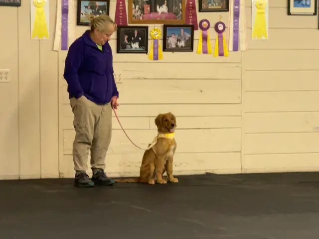 Total Recall School for Dogs — customer photo 6