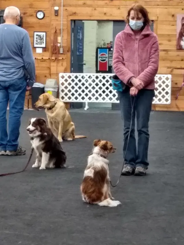 Total Recall School for Dogs — customer photo 5