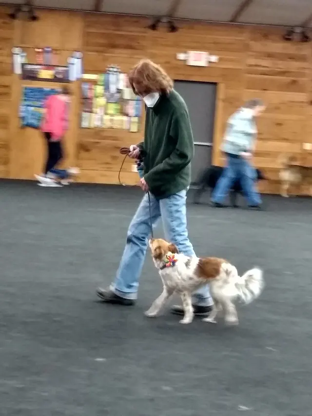 Total Recall School for Dogs — customer photo 10