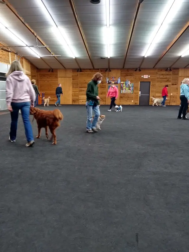 Total Recall School for Dogs — customer photo 2
