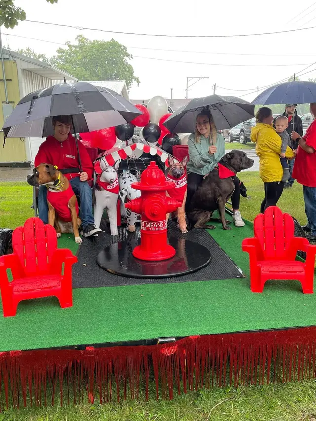 Sit Means Sit Dog Training - East Central Minnesota — photo from the business 11