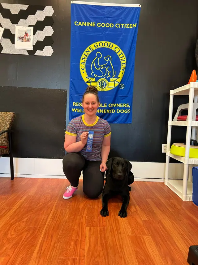 Sit Means Sit Dog Training - East Central Minnesota — photo from the business 10