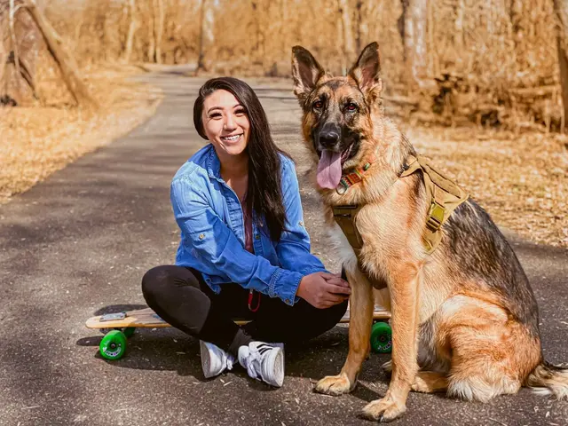 Sit Means Sit Dog Training - East Central Minnesota — customer photo 5