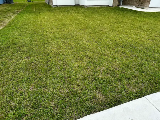 Precision Lawn Care — photo from the business 10