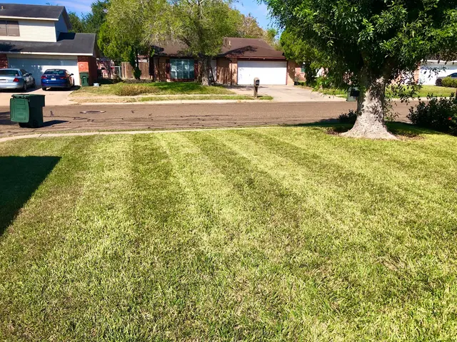 Precision Lawn Care — photo from the business 1