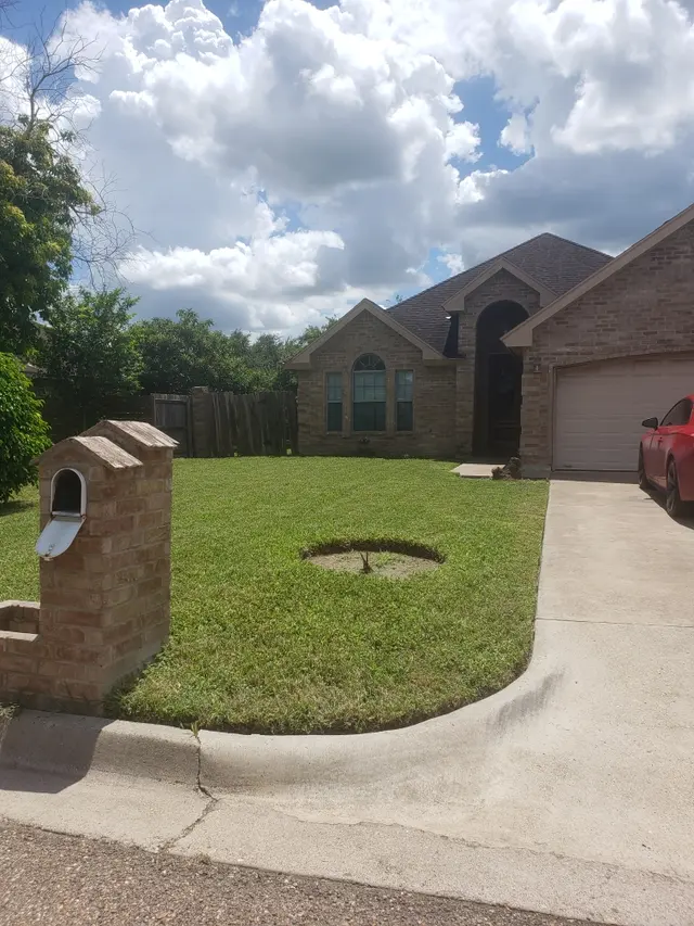 Precision Lawn Care — customer photo 6
