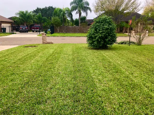 Precision Lawn Care — photo from the business 12