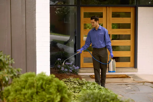 PURCOR Pest Solutions — photo from the business 2