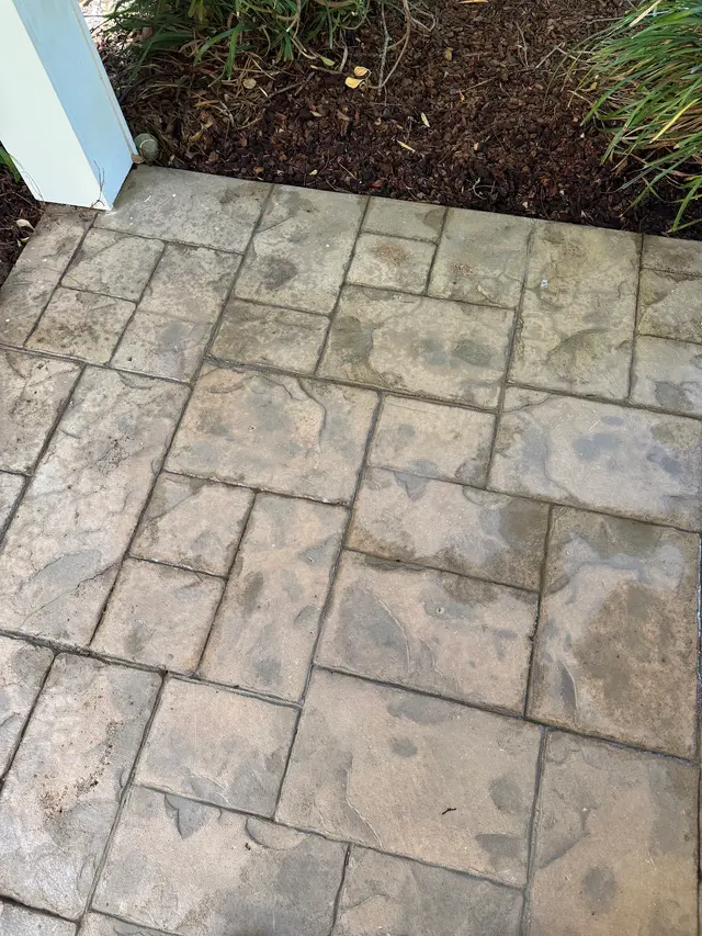 PURCOR Pest Solutions — customer photo 10