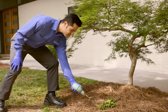 PURCOR Pest Solutions — photo from the business 3