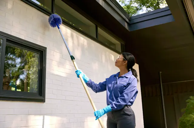 PURCOR Pest Solutions — photo from the business 5