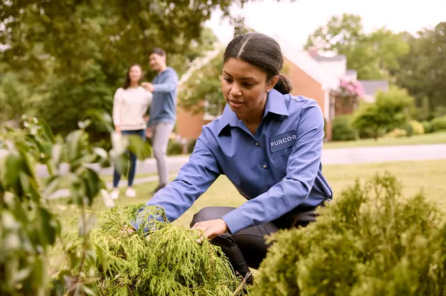 PURCOR Pest Solutions — photo from the business 12