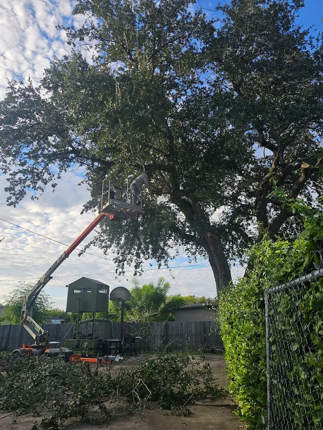Flores Lawn Services — photo from the business 3