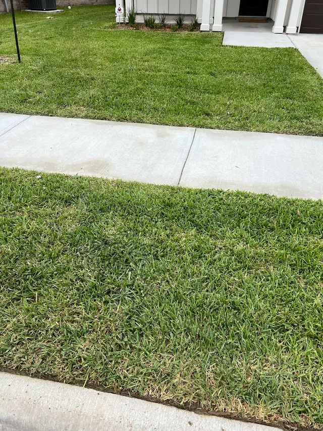 Elite Cuts Lawn Care — photo from the business 12