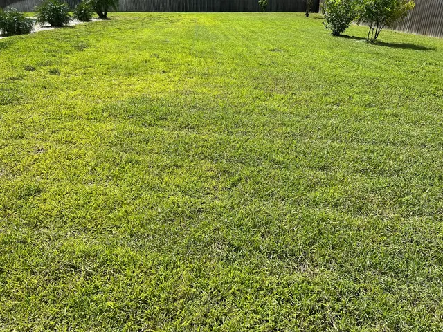 Elite Cuts Lawn Care — customer photo 11