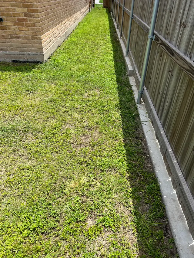 Elite Cuts Lawn Care — photo from the business 10