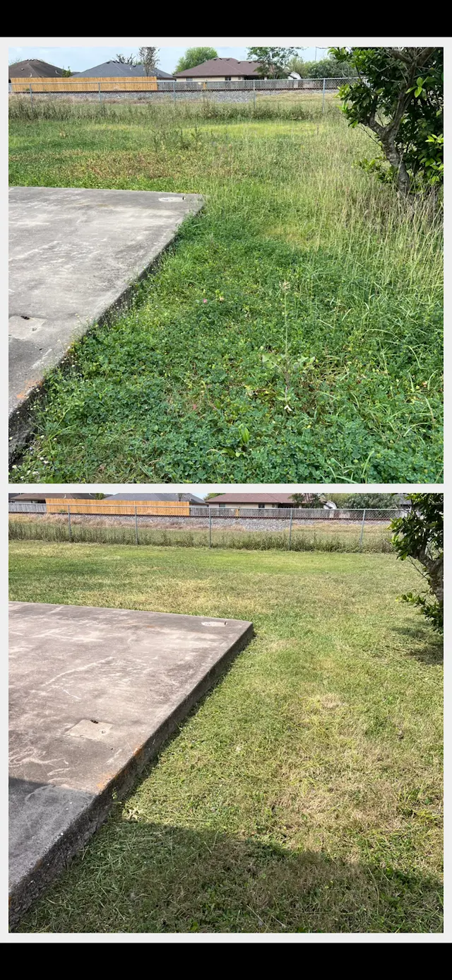 Elite Cuts Lawn Care — photo from the business 2