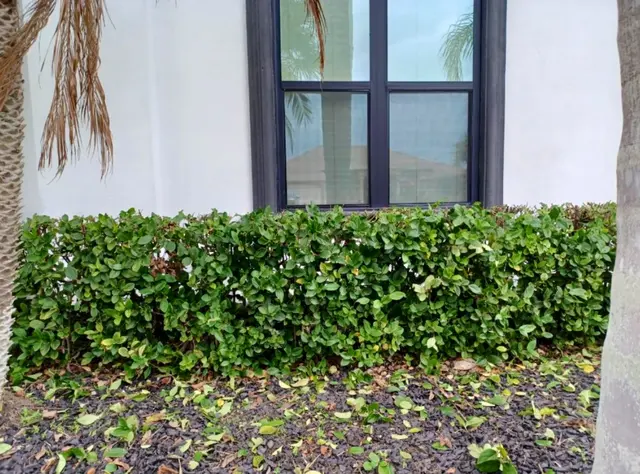 Elite Cuts Lawn Care — photo from the business 9