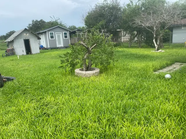 Ace's lawn care — photo from the business 6