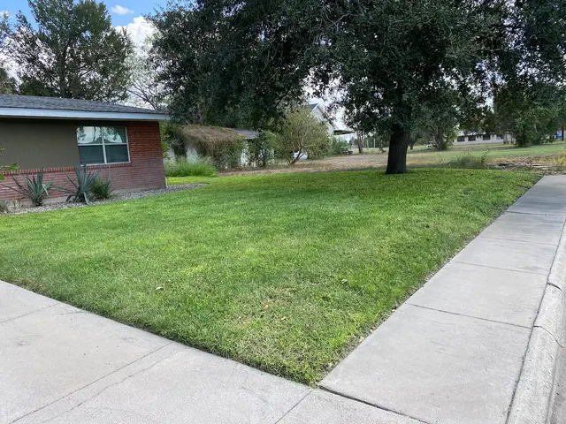 Ace's lawn care — photo from the business 9