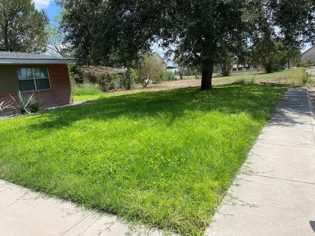 Ace's lawn care — photo from the business 8
