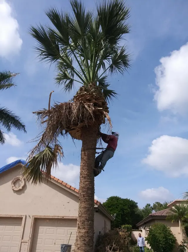 Rivera's Lawn & Landscaping — photo from the business 12